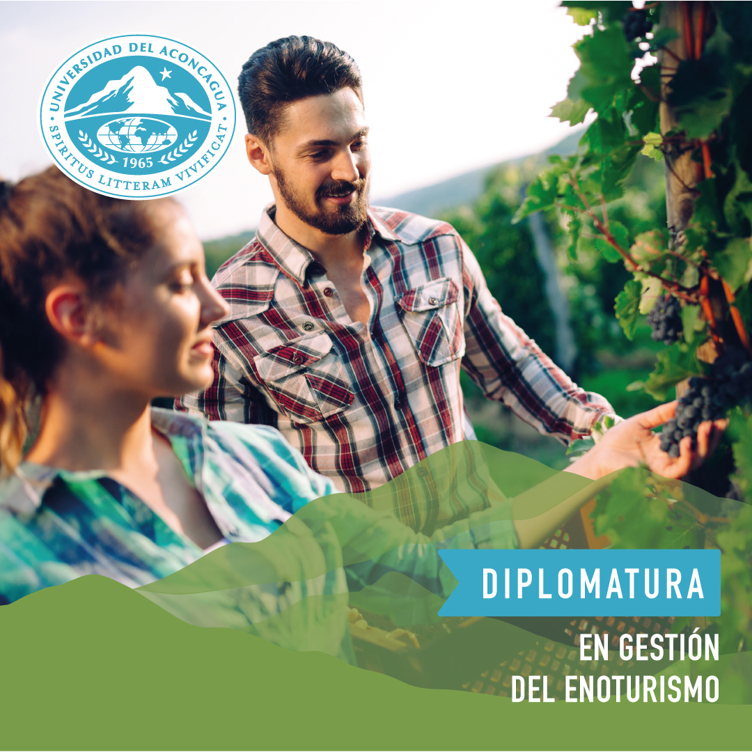 enoturismo-1080x1080.jpg