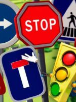 La Seguridad vial en la Argentina