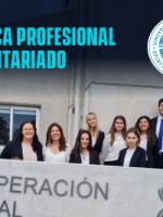 PRÁCTICA PROFESIONAL - CONIN