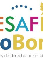 Desafío PRO BONO 2022
