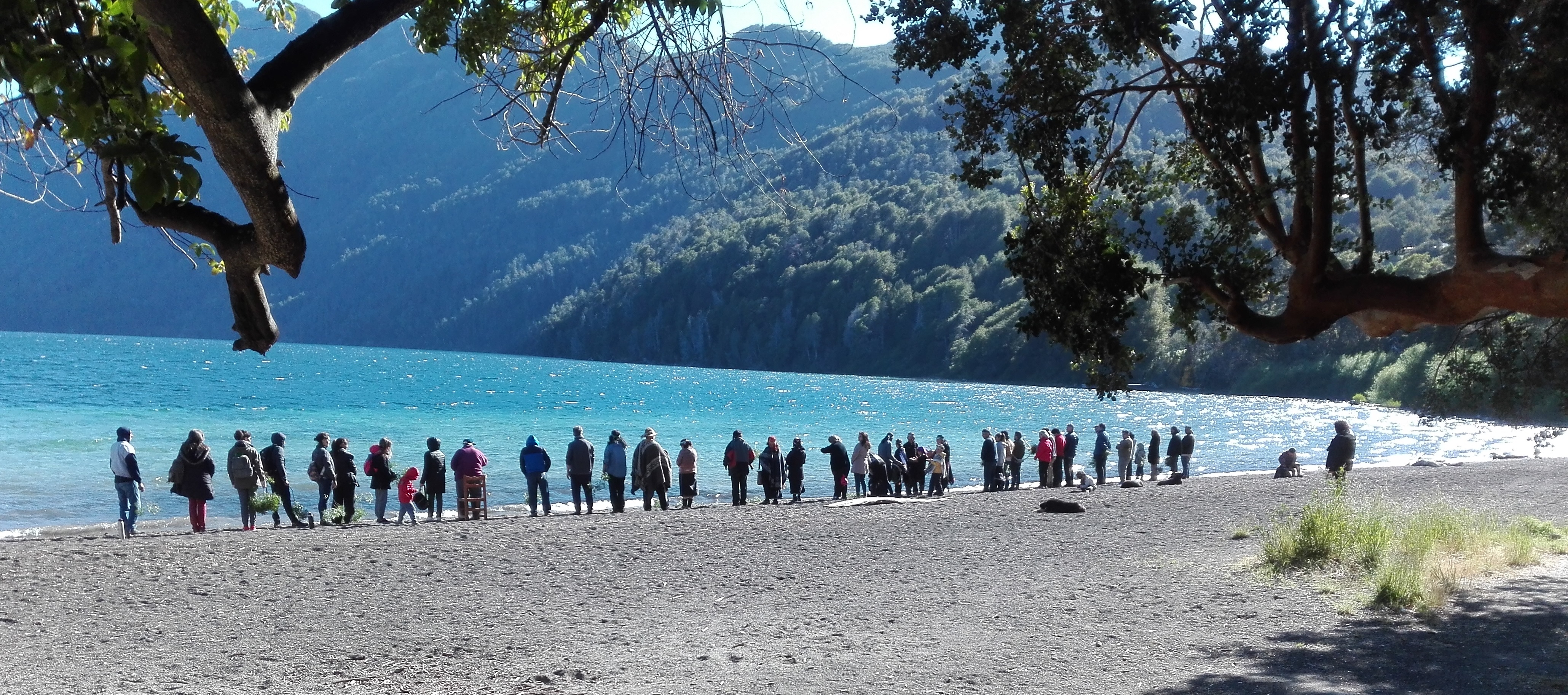 Avance del Proyecto de Concurso de Extensión “Desarrollo de la Zonal Lafkence en Territorio ancestral. Aportes desde la Psicología Comunitaria”