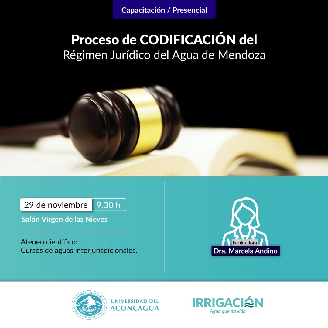 whatsapp-image-2022-11-29-at-08.41.50---copia.jpeg